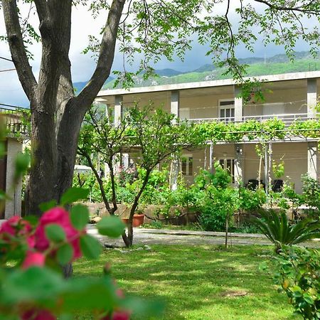 Apartmani Mihovic - Jaz Budva Eksteriør bilde